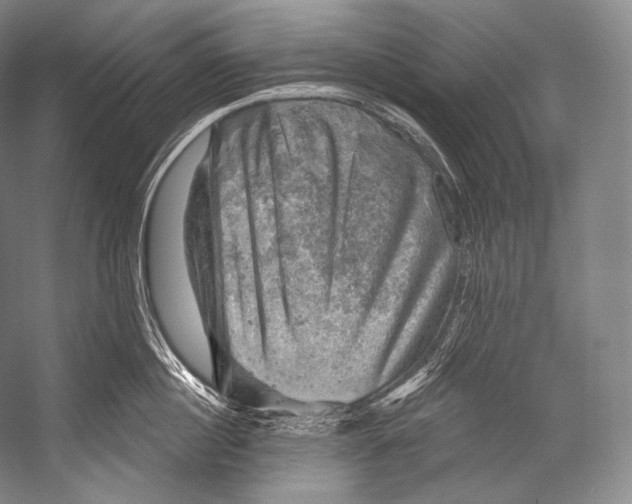 X0000052570860200507221500