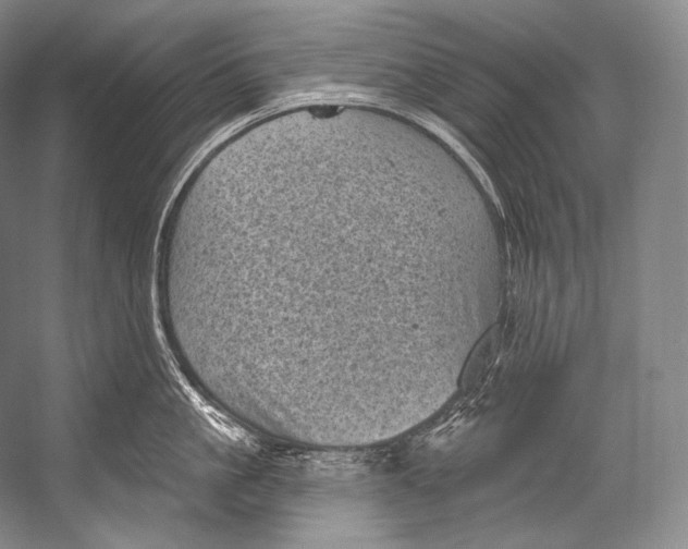 X0000052570861200507221500