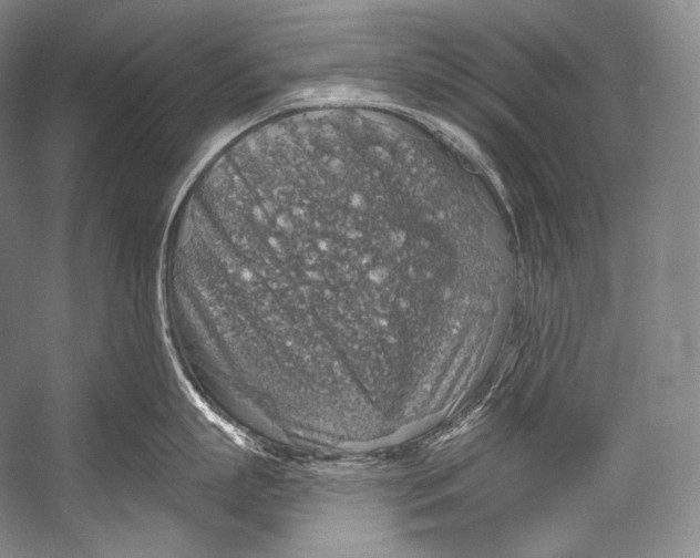 X0000052570863200507221500