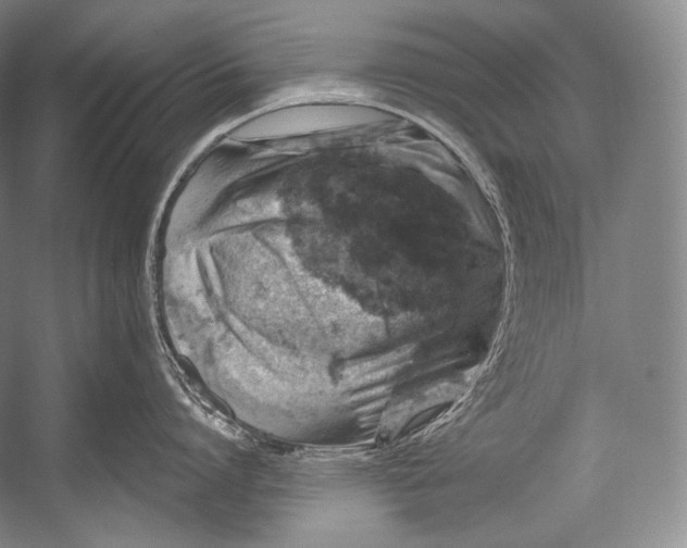 X0000052570864200507221500