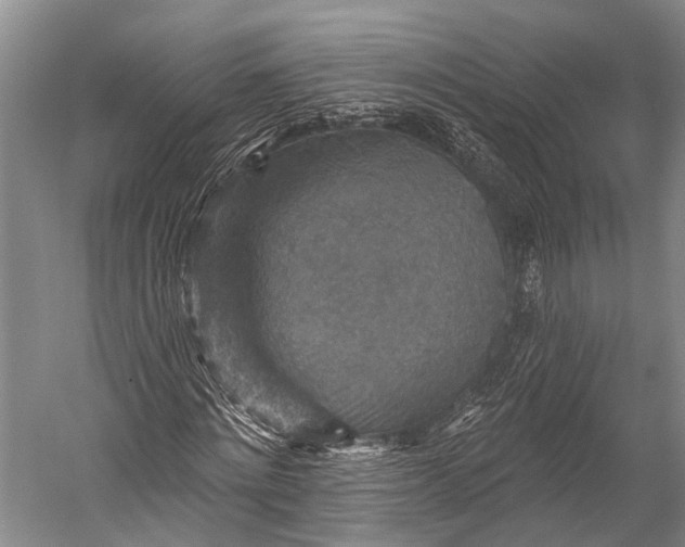 X0000052570868200507221459