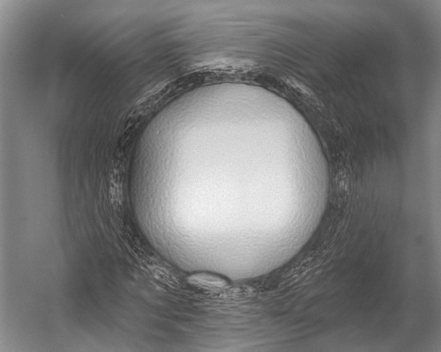 X0000052570869200507221459