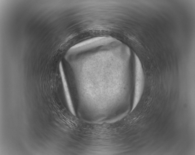 X0000052570870200507221459