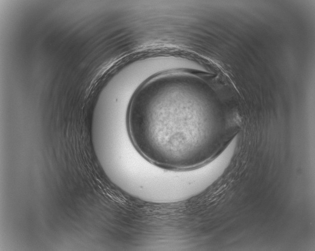 X0000052570871200507221459