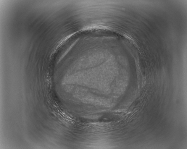 X0000052570872200507221459