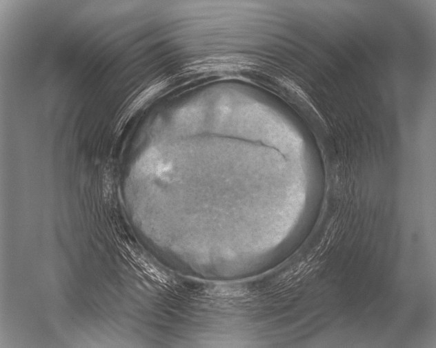 X0000052570874200507221459