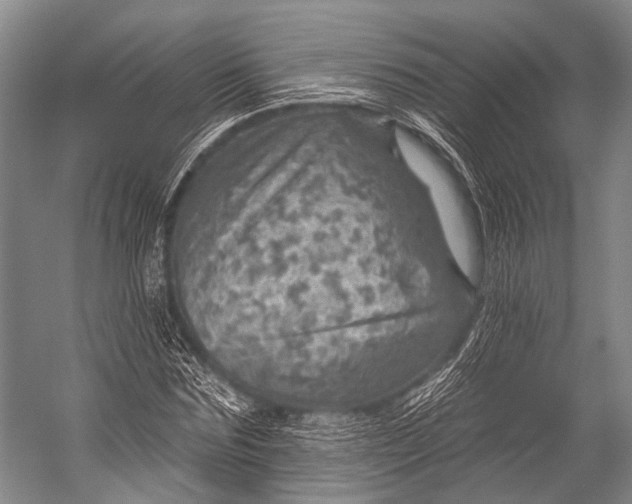 X0000052570875200507221459