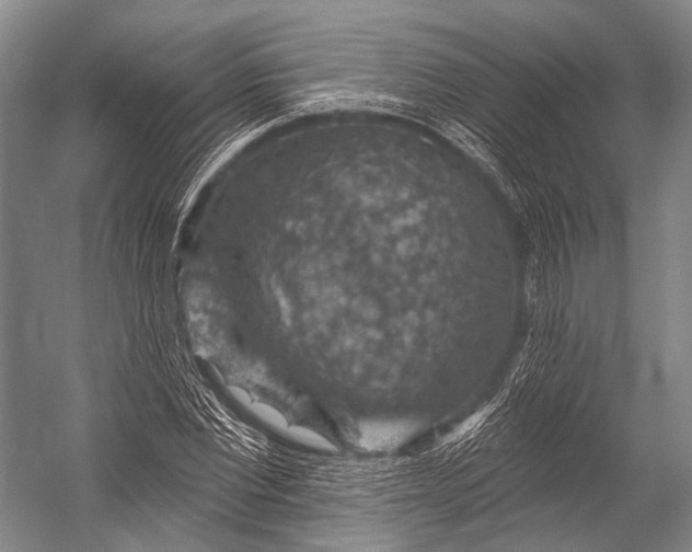 X0000052570877200507221459