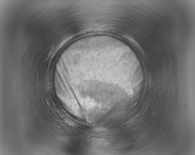 X0000052570878200507221459