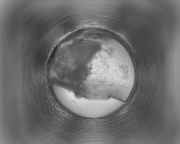 X0000052570879200507221459