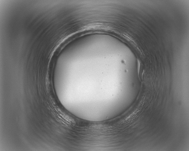 X0000052570880200507221459