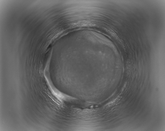 X0000052570881200507221459