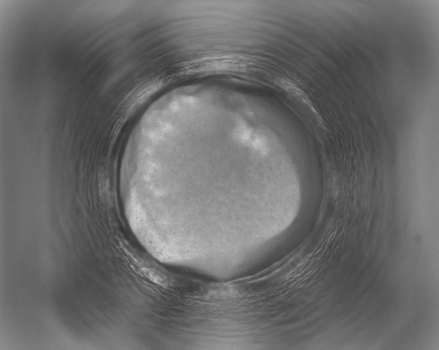 X0000052570882200507221459