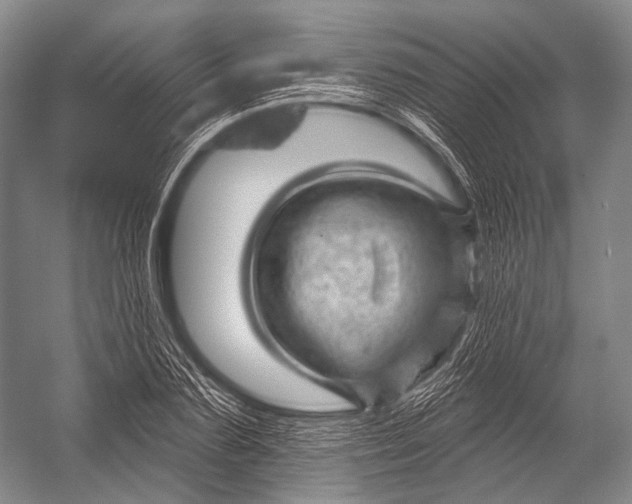 X0000052570883200507221459