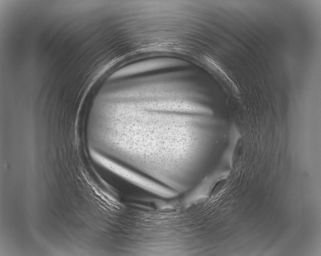 X0000052570884200507221459