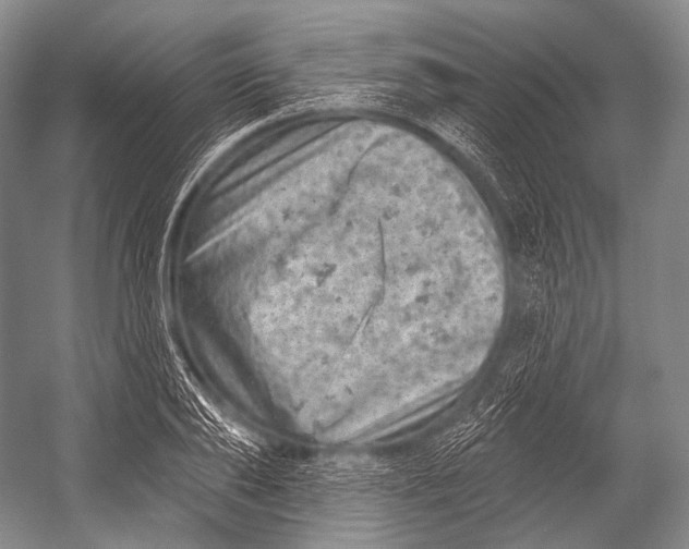 X0000052570886200507221459