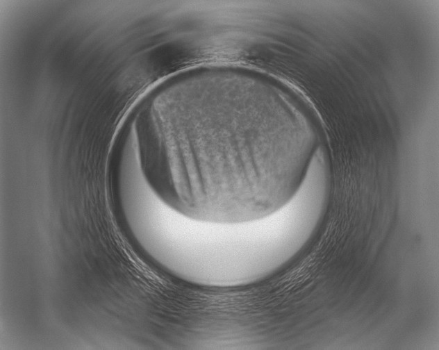 X0000052570887200507221459