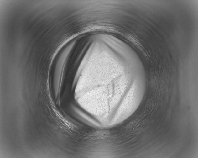 X0000052570888200507221459