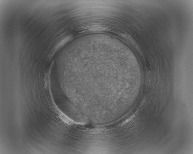 X0000052570889200507221459