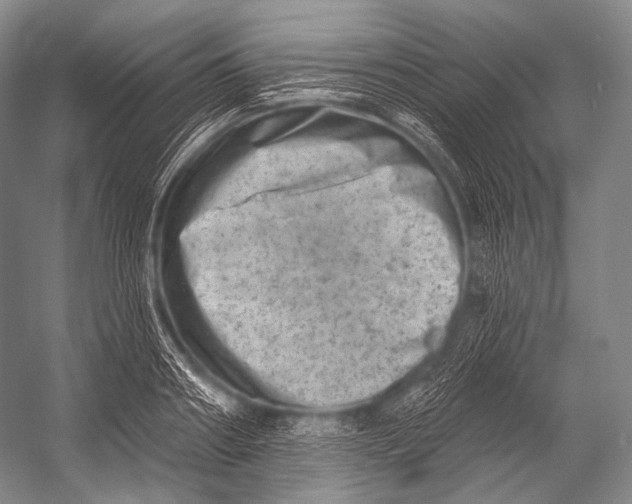 X0000052570890200507221459