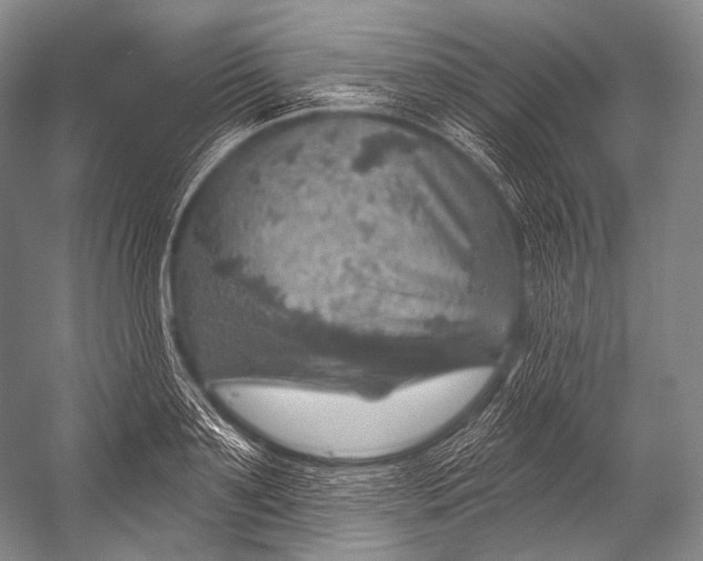 X0000052570891200507221459