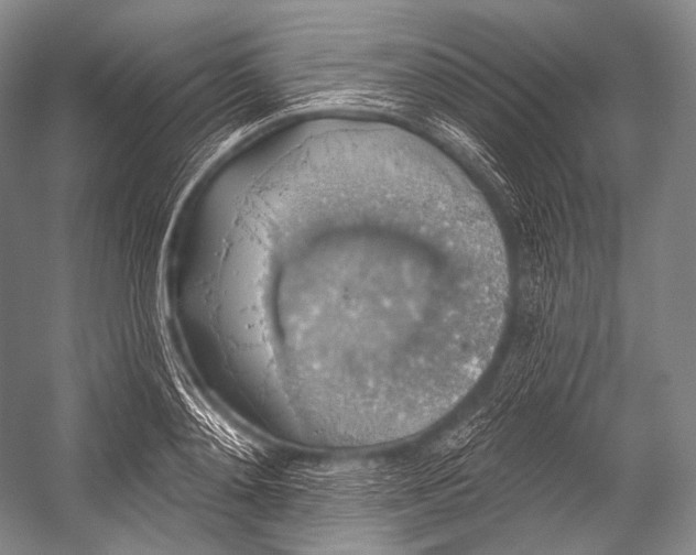 X0000052570892200507221459