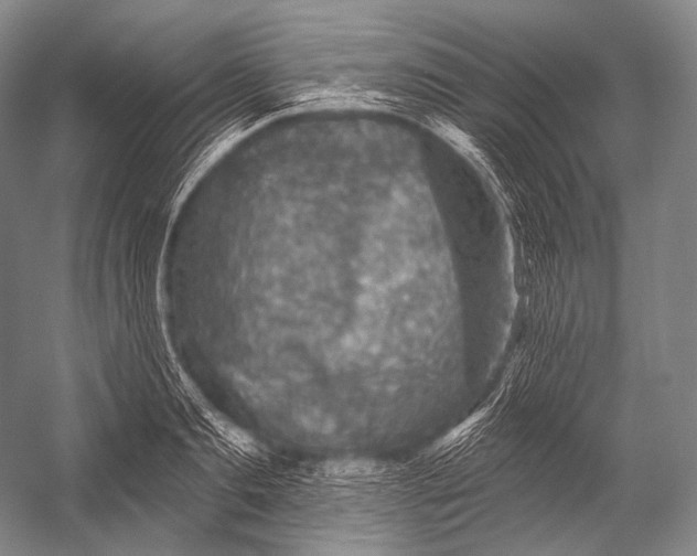 X0000052570893200507221459