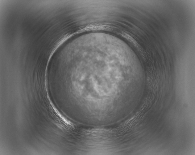 X0000052570894200507221459