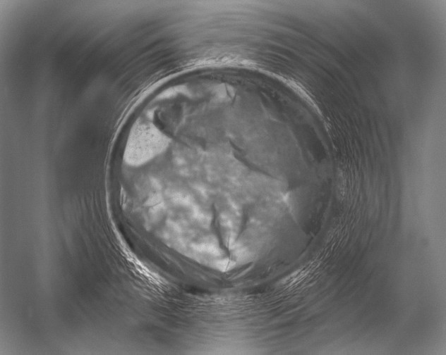 X0000052570895200507221459