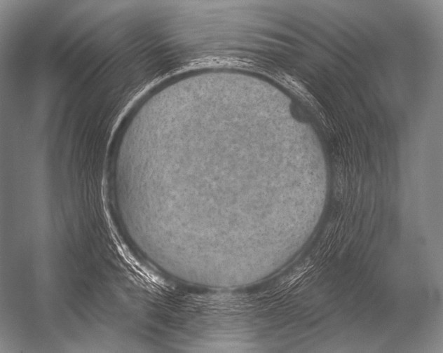 X0000052570896200507221459