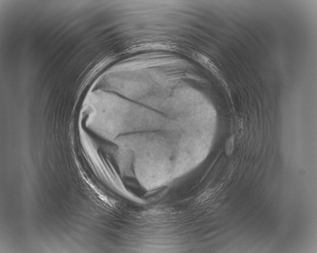 X0000052570898200507221459