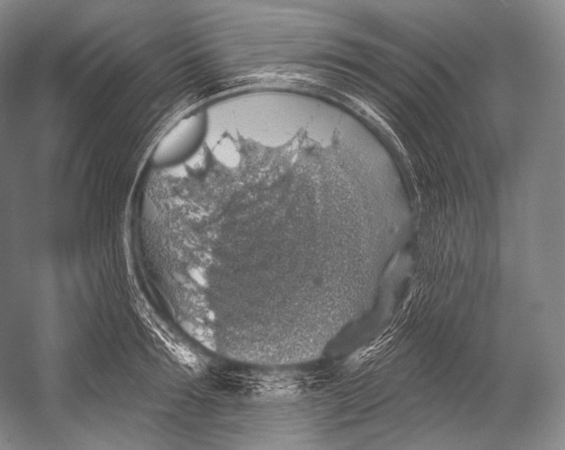 X0000052570899200507221459