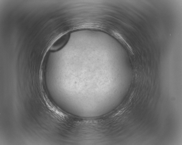 X0000052570900200507221459