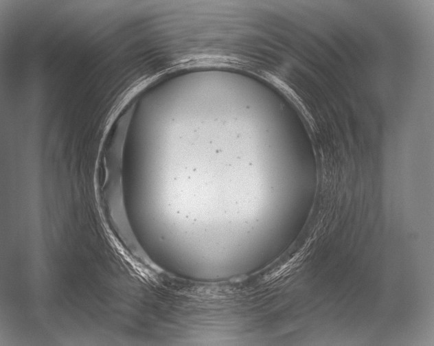 X0000052570901200507221459