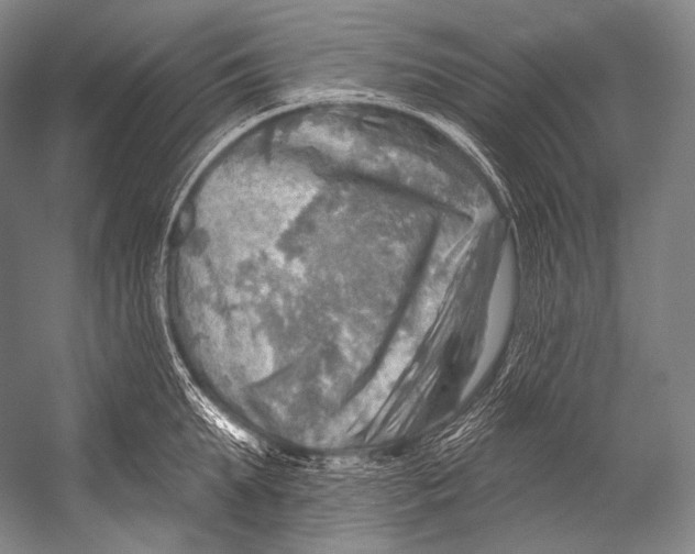 X0000052570903200507221459