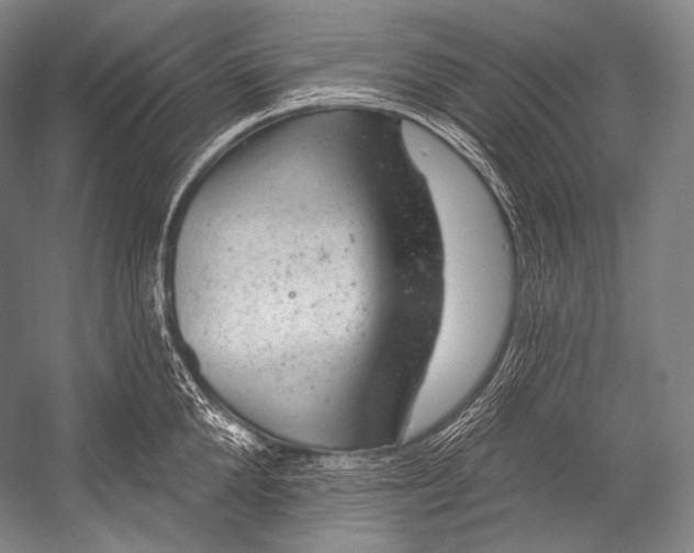 X0000052570904200507221459