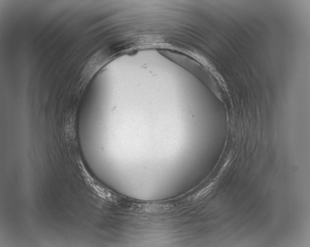 X0000052570905200507221459