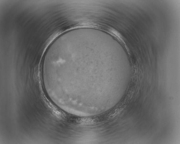 X0000052570907200507221459