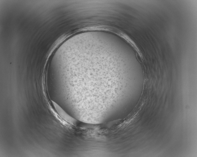 X0000052570909200507221459