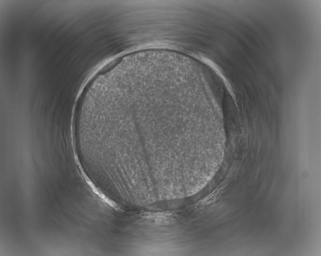 X0000052570910200507221459