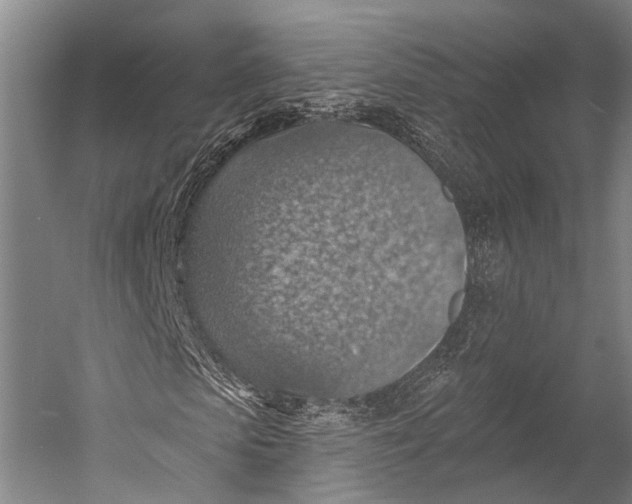 X0000052570913200507221458