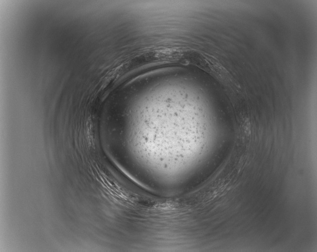 X0000052570914200507221458