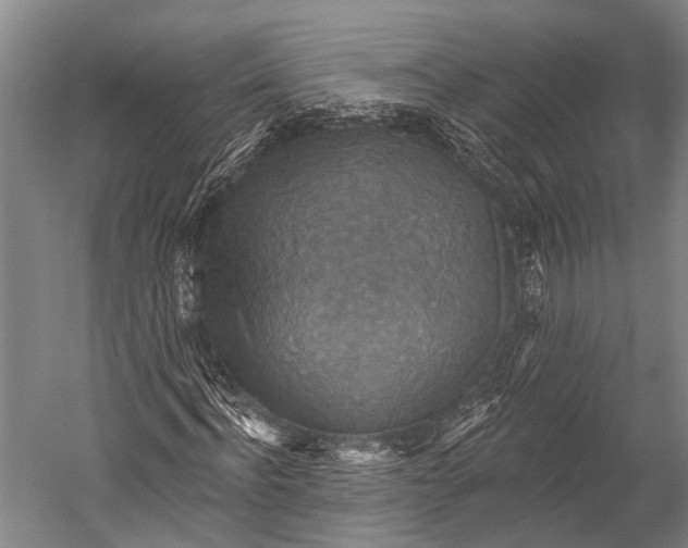 X0000052570916200507221458