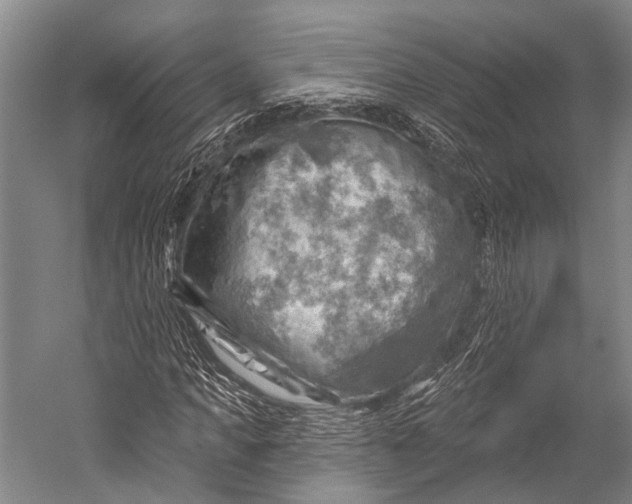 X0000052570917200507221458