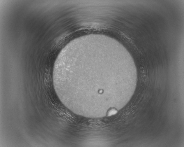 X0000052570918200507221458