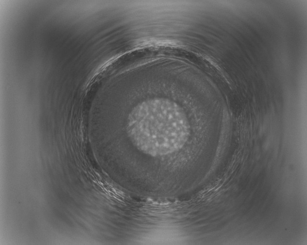 X0000052570919200507221458