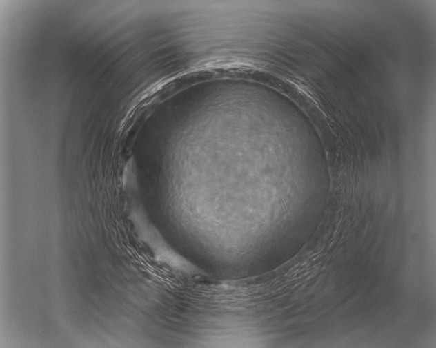 X0000052570920200507221458