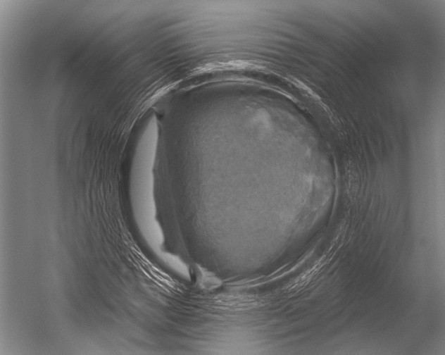 X0000052570921200507221458