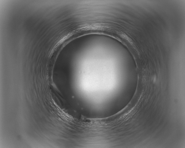 X0000052570922200507221458