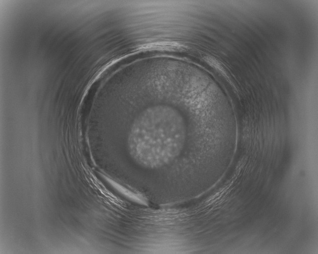 X0000052570923200507221458